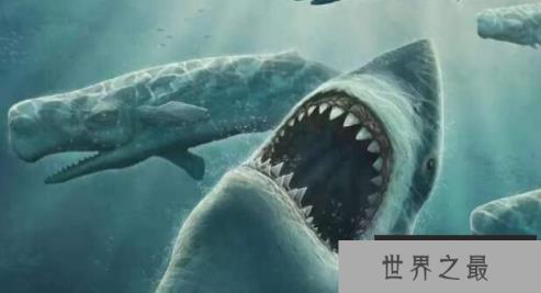史前巨齿鲨：咬合力最强的生物，体长30米,一口咬断鲸鱼