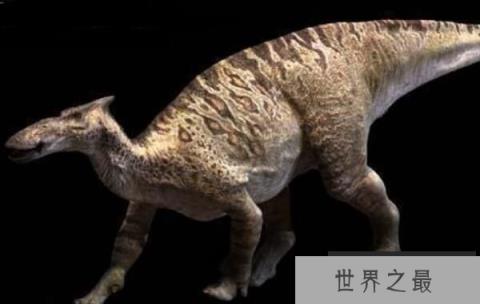 栉龙：大型食草恐龙（长12米/体重9吨）