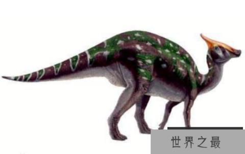 栉龙：大型食草恐龙（长12米/体重9吨）