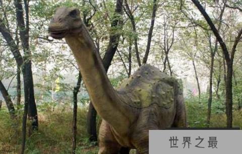 萨尔塔龙:南美洲食草恐龙(身长13米/体重8吨)