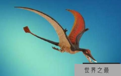 【喙嘴龙：最早的翼龙（体长1-2米/体重10公斤）】图4