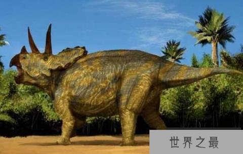 三角龙：北美洲大型恐龙（长8米/食草恐龙战力巅峰）