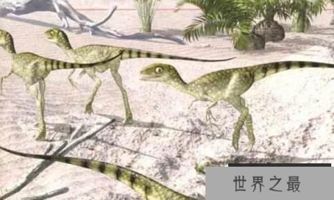 棒爪龙:意大利小型食肉恐龙,体长达2米(白垩纪恐龙)