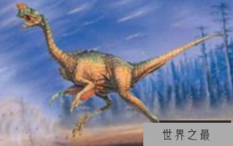 始兴龙：亚洲偷蛋龙科恐龙（长2米/爱偷蛋的龙）