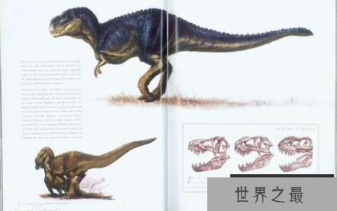 农神龙：南美洲小型恐龙（体长2米/最古老的恐龙）