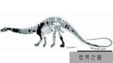 春雷龙：北美洲大型食草恐龙（长15米/蜥脚类恐龙）