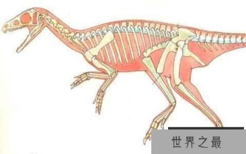 南十字龙：地球上最早的恐龙，一种距今2.25亿年前的恐龙