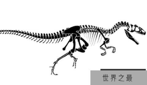 窦鼻龙:辽宁小型杂食性恐龙(长1米/距今1.3亿年)
