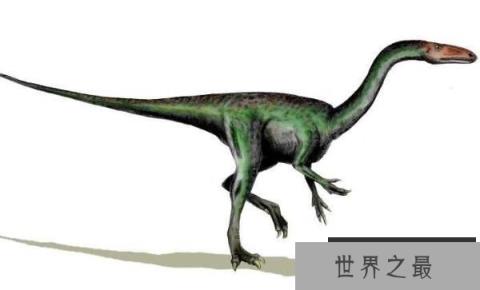 斯基龙:北美洲小型食肉恐龙(长1米/Tsegi峡谷唯一恐龙)