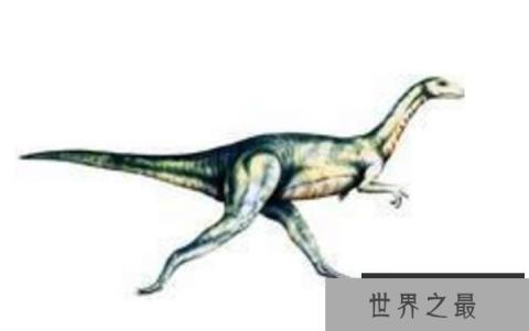 斯基龙:北美洲小型食肉恐龙(长1米/Tsegi峡谷唯一恐龙)