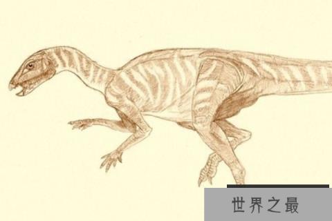 始奔龙:原始鸟臀目恐龙,身体1米,恐龙中的奔跑高手