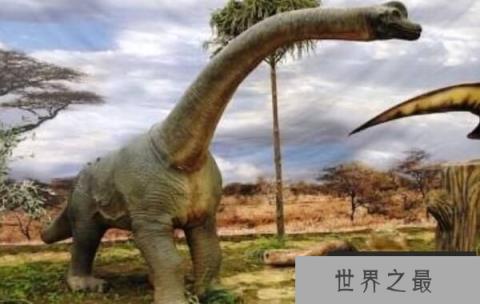 波塞冬龙：北美洲超巨型恐龙，身高17米（已知最高的恐龙）