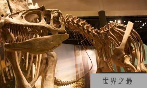 食蜥王龙:北美洲巨型食肉恐龙(长14米/兽脚亚目食肉恐龙)