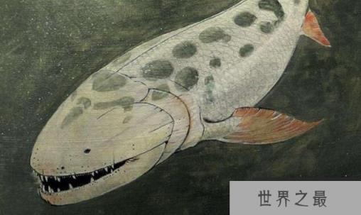 海洋巨无霸含肺鱼，体型超大且海陆两栖，邓氏鱼是唯一对手
