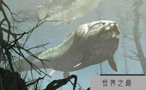 海洋巨无霸含肺鱼，体长8米重2吨，秒杀邓氏鱼