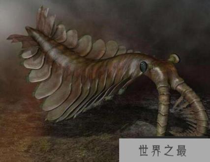 远古海洋三大霸主，奇虾强过沧龙，威力不输旋齿鲨