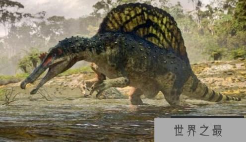 最强大恐怖的恐龙：棘龙，没有天敌的远古恐龙