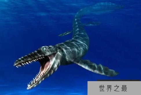 海洋中的变色龙:滑齿龙,体长2米的恐龙(超级海怪)