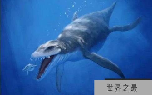 海洋中的变色龙:滑齿龙,体长2米的恐龙(超级海怪)