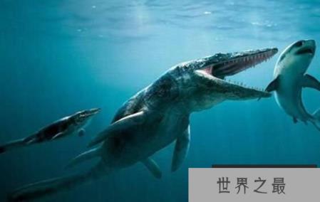 海洋中的变色龙:滑齿龙,体长2米的恐龙(超级海怪)