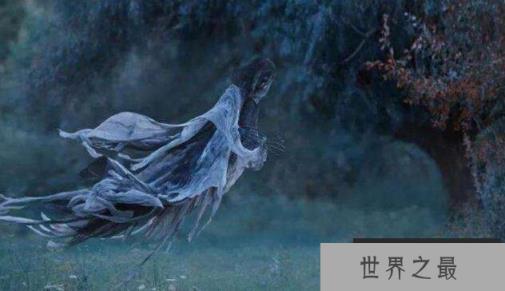 世界上最恐怖的水母：冥河水母，体长11米如摄魂怪(阴森可怕)