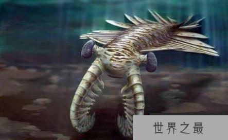 史前海洋十大霸主，巨齿鲨与旋齿鲨称霸海洋