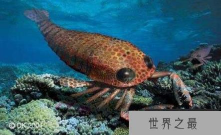 史前海洋十大霸主，巨齿鲨与旋齿鲨称霸海洋