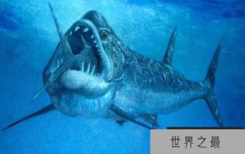 史前海洋十大霸主，巨齿鲨与旋齿鲨称霸海洋