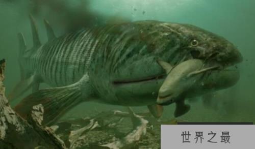 海洋巨无霸含肺鱼，体长8米重2吨，秒杀邓氏鱼