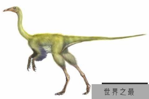 似鸟身女妖龙：鸟身女妖的模仿者，以希腊神话的鸟身女妖为名