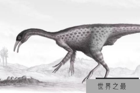 似鸟身女妖龙：鸟身女妖的模仿者，以希腊神话的鸟身女妖为名