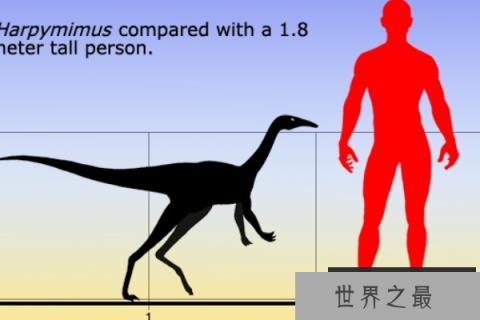 似鸟身女妖龙：鸟身女妖的模仿者，以希腊神话的鸟身女妖为名