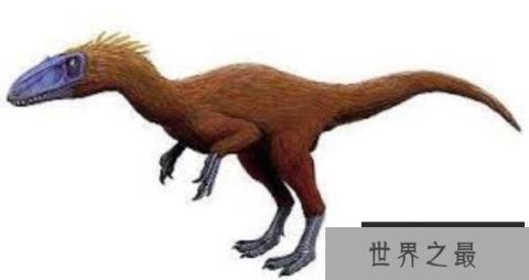 吐谷鲁龙:两足行走的食肉恐龙(长3米/发现于准噶尔盆地)