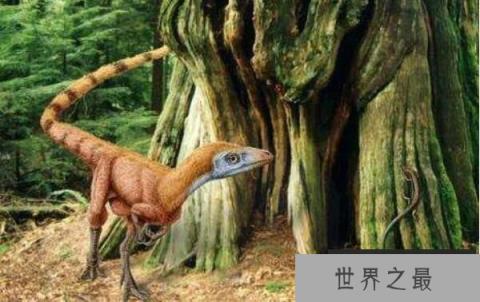 辽宁角龙：四足行走的植食性恐龙(鸟臀目角龙类恐龙)