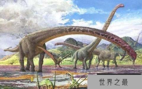 世界上脖子最长的恐龙：马门溪龙，脖子长13米，长过腕龙