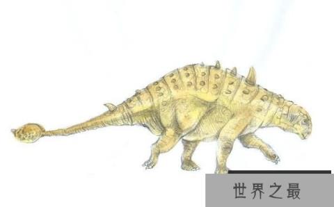 山西龙：一种山西小型恐龙（体长3.5米/早白垩世恐龙）