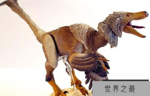 中国小型食肉恐龙：白魔龙（体长3米/发现于中国内蒙）