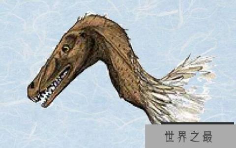 中国小型食肉恐龙：白魔龙（体长3米/发现于中国内蒙）