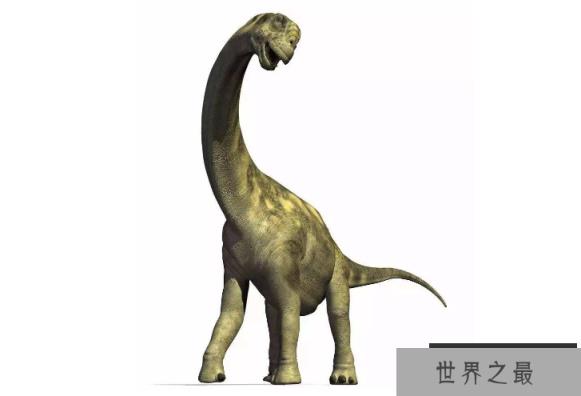 世界最大的十大恐龙 阿根廷龙位列榜首,高度达35米