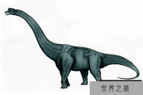 世界最大的十大恐龙 阿根廷龙位列榜首,高度达35米