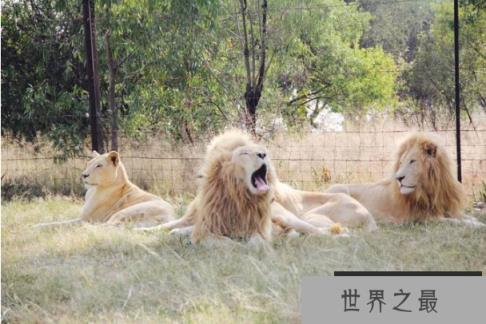 世界最著名十大动物园 赫尔辛基位列第一,中国无一上榜