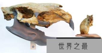 史前七种最大动物：魔鬼蛙竟能吞食恐龙(组图)