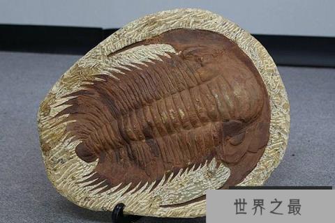 七大史前动物