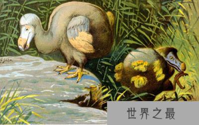 最有望复活的物种名单 恐龙无望