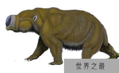 最有望复活的物种名单 恐龙无望