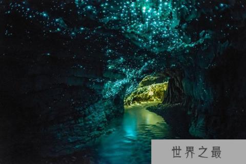 11种荧光动物：生气时深海怪鱼“点亮”全身