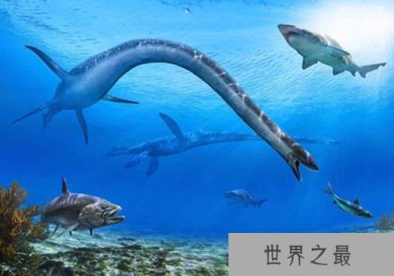 薄板龙脖子长达8米，超过了它身体全长的一半