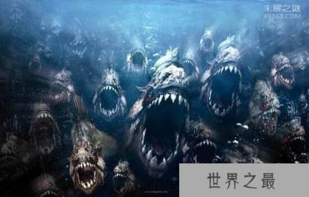 世界最大淡水鱼，非洲虎鱼体长1.8米重达57公斤