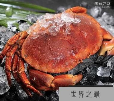 正直爱洁蟹,此蟹有毒不能食用