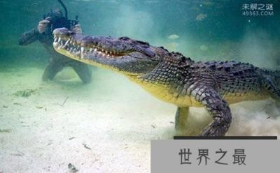 普鲁斯鳄，咬合力竟比霸王龙还大(均重18吨)